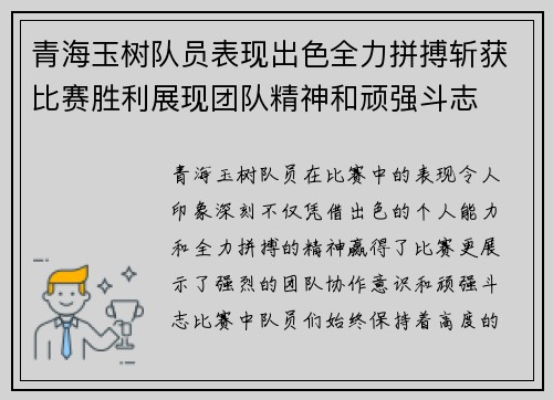青海玉树队员表现出色全力拼搏斩获比赛胜利展现团队精神和顽强斗志
